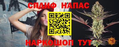 гашик Гагарин