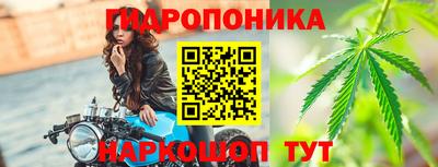 дурь Гай