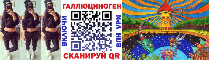 блэк спрут как войти  Обнинск  Галлюциногенные грибы Psilocybe 