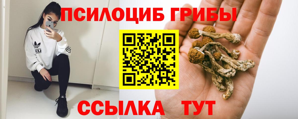 Обнинск  где продают наркотики  Вход с VPN  Псилоцибиновые грибы MAGIC MUSHROOMS 